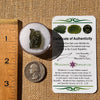 Moldavite 2.4 grams #2319-Moldavite Life