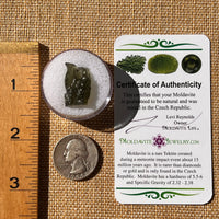 Moldavite 2.4 grams #2319-Moldavite Life