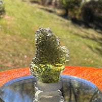 Moldavite 2.4 grams #2361-Moldavite Life