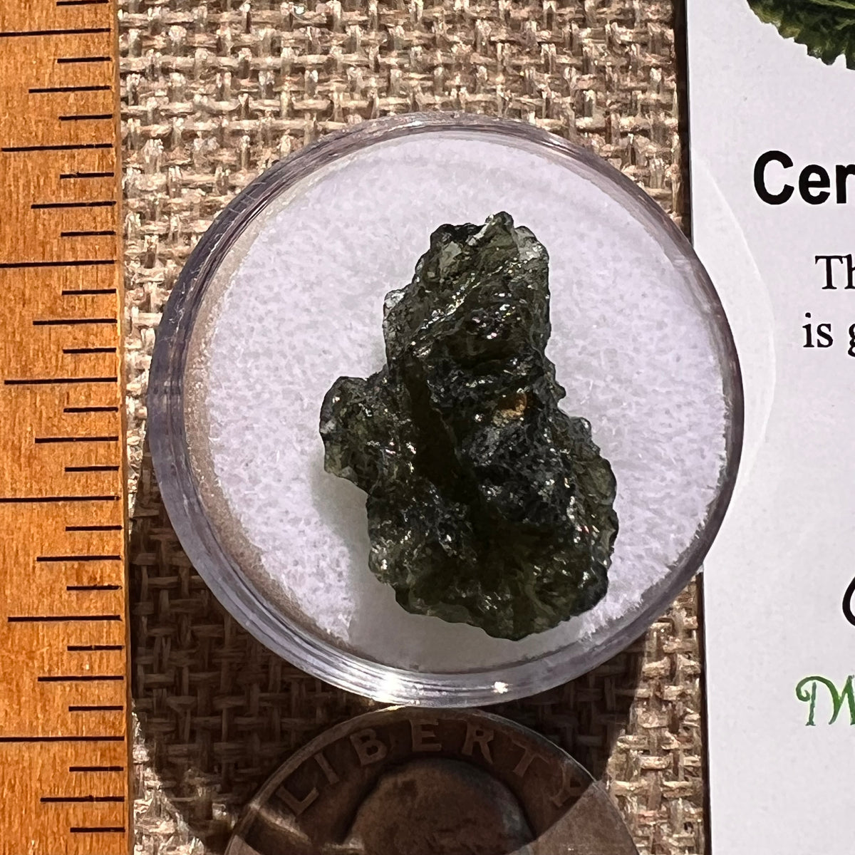 Moldavite 2.4 grams #2361-Moldavite Life