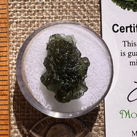 Moldavite 2.4 grams #2361-Moldavite Life