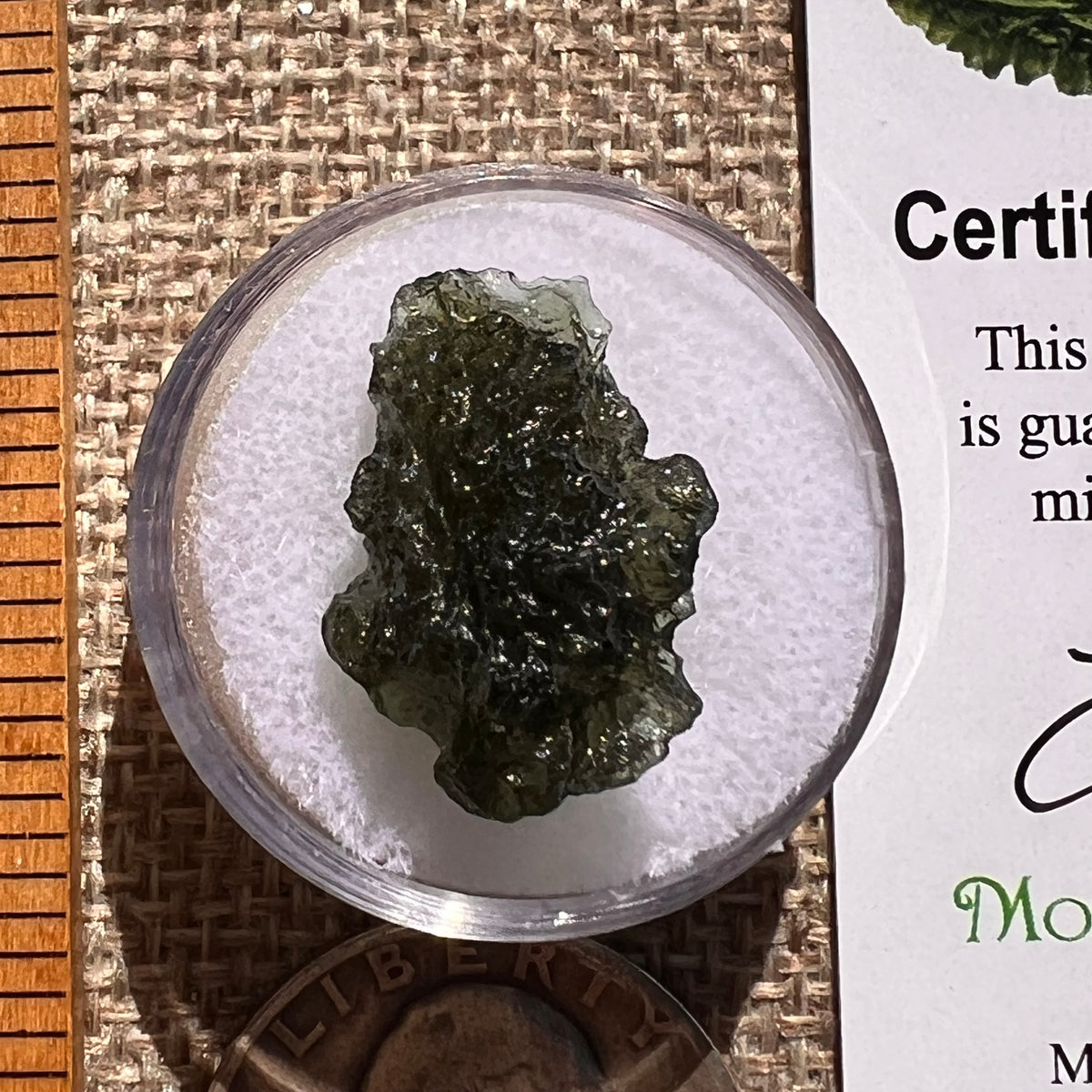 Moldavite 2.4 grams #2361-Moldavite Life