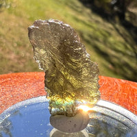Moldavite 2.4 grams #2375-Moldavite Life