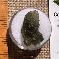Moldavite 2.4 grams #2375-Moldavite Life
