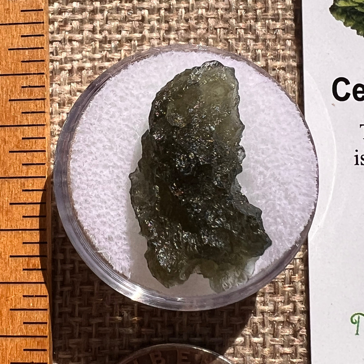 Moldavite 2.4 grams #2375-Moldavite Life