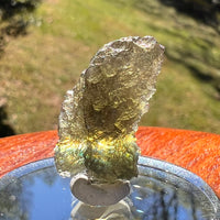 Moldavite 2.4 grams #2375-Moldavite Life
