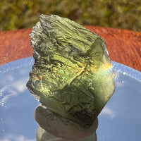 Moldavite 2.5 grams #1699-Moldavite Life