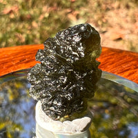 Moldavite 2.5 grams #1731-Moldavite Life