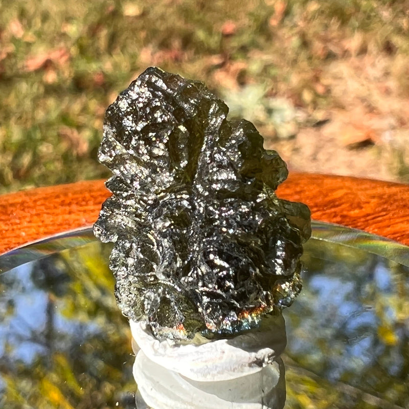 Moldavite 2.5 grams #1731-Moldavite Life