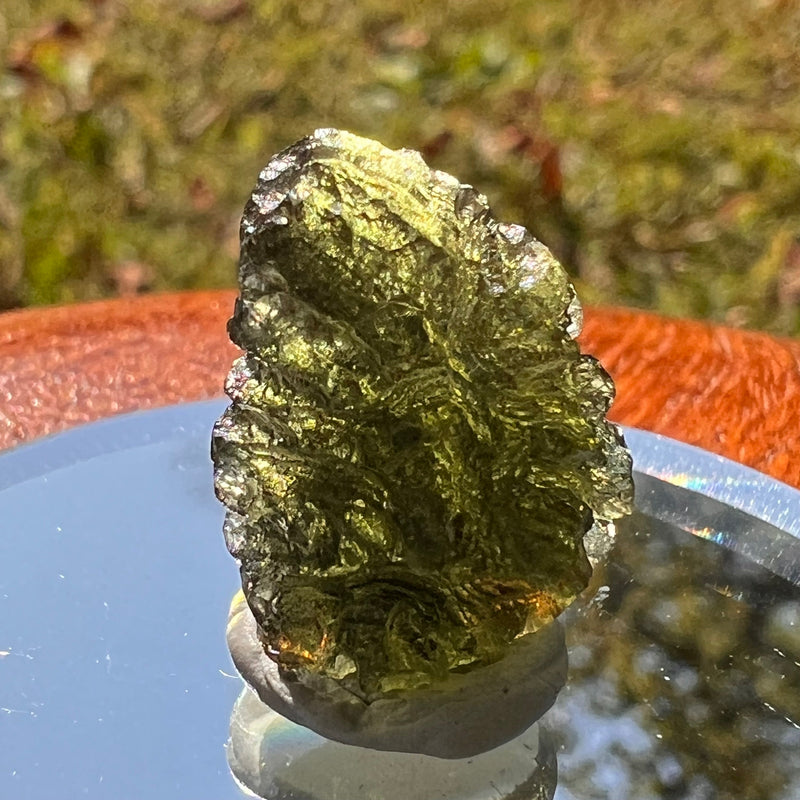 Moldavite 2.5 grams #1731-Moldavite Life