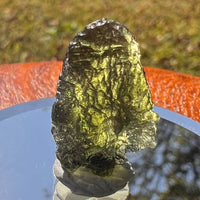 Moldavite 2.5 grams #1733-Moldavite Life