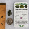 Moldavite 2.5 grams #1733-Moldavite Life