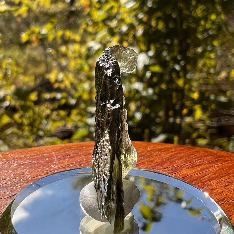 Moldavite 2.5 grams #2113-Moldavite Life