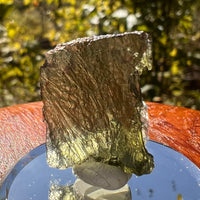 Moldavite 2.5 grams #2113-Moldavite Life