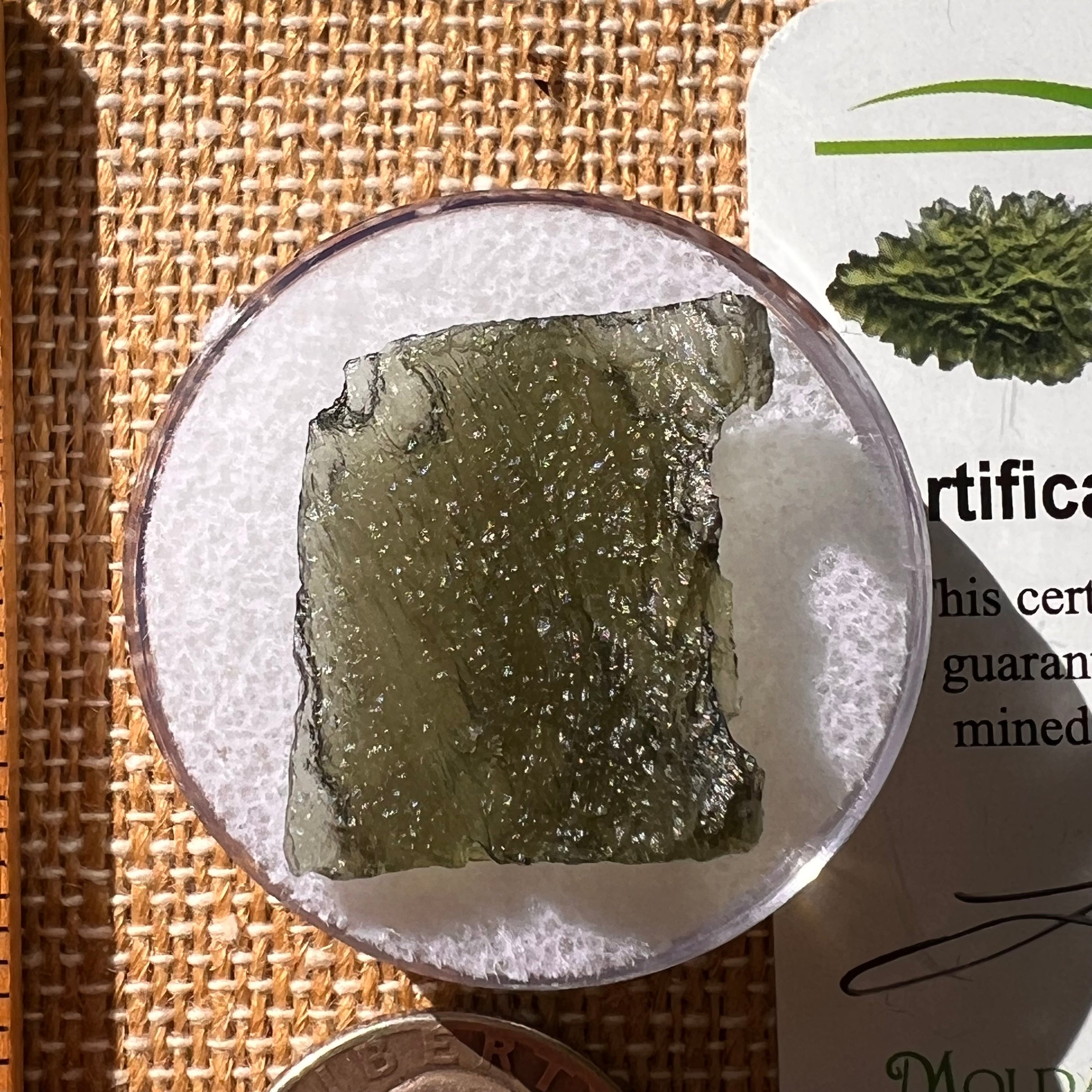 Moldavite 2.5 grams #2113-Moldavite Life