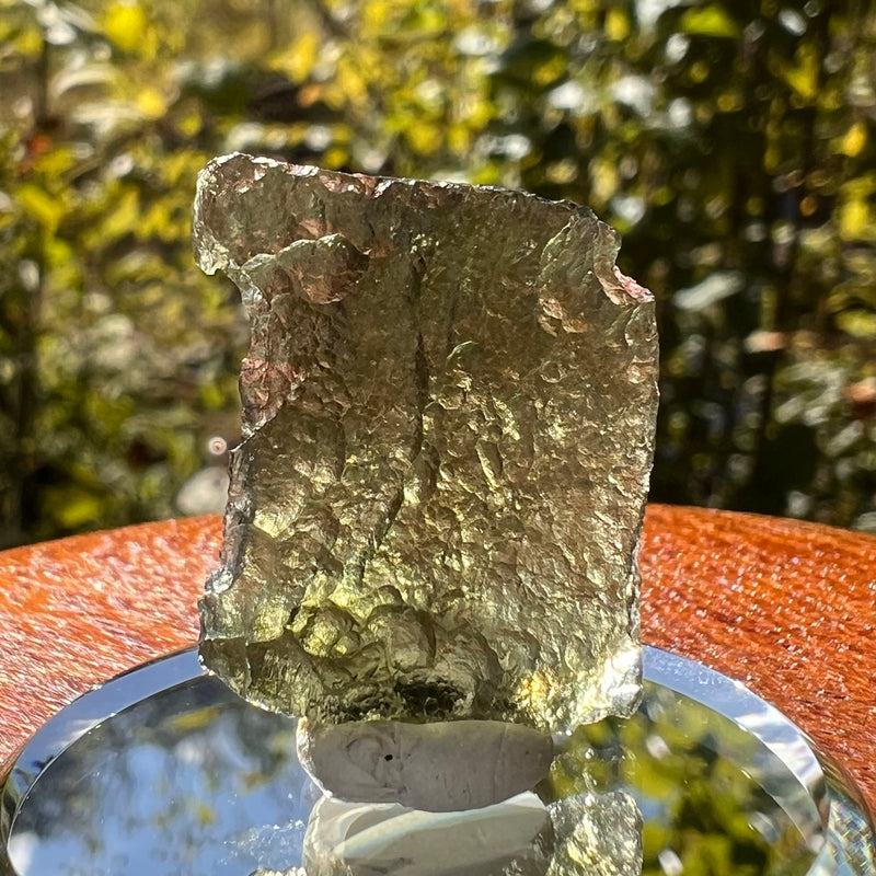 Moldavite 2.5 grams #2113-Moldavite Life