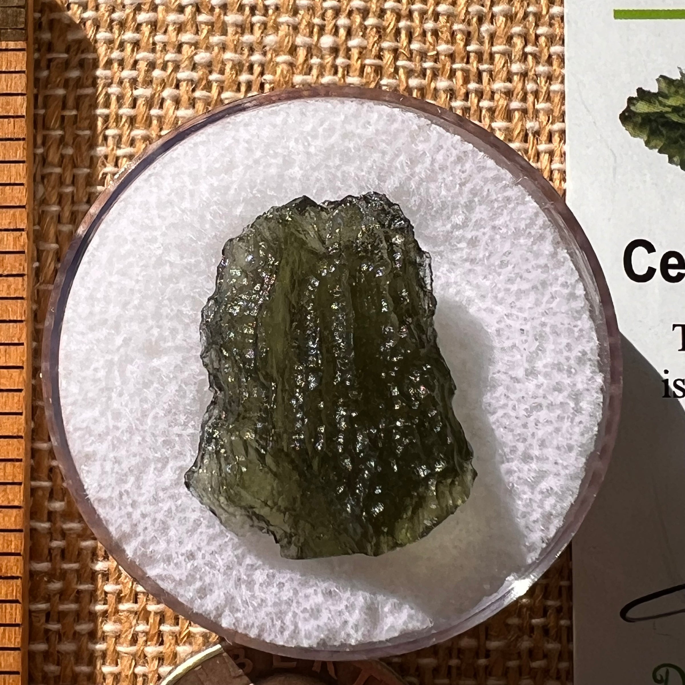 Moldavite 2.5 grams #2118-Moldavite Life