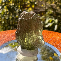 Moldavite 2.5 grams #2118-Moldavite Life