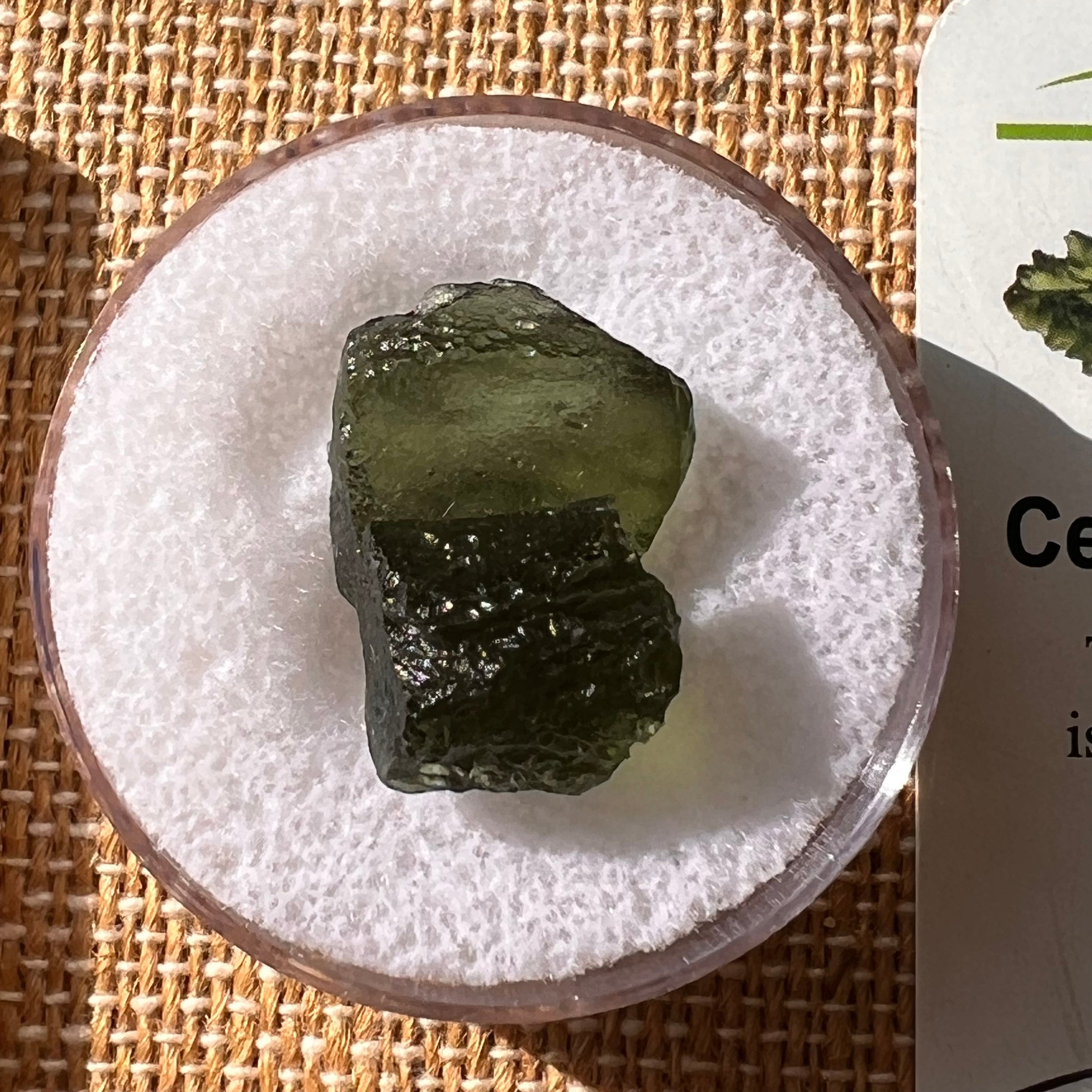 Moldavite 2.5 grams #2133-Moldavite Life