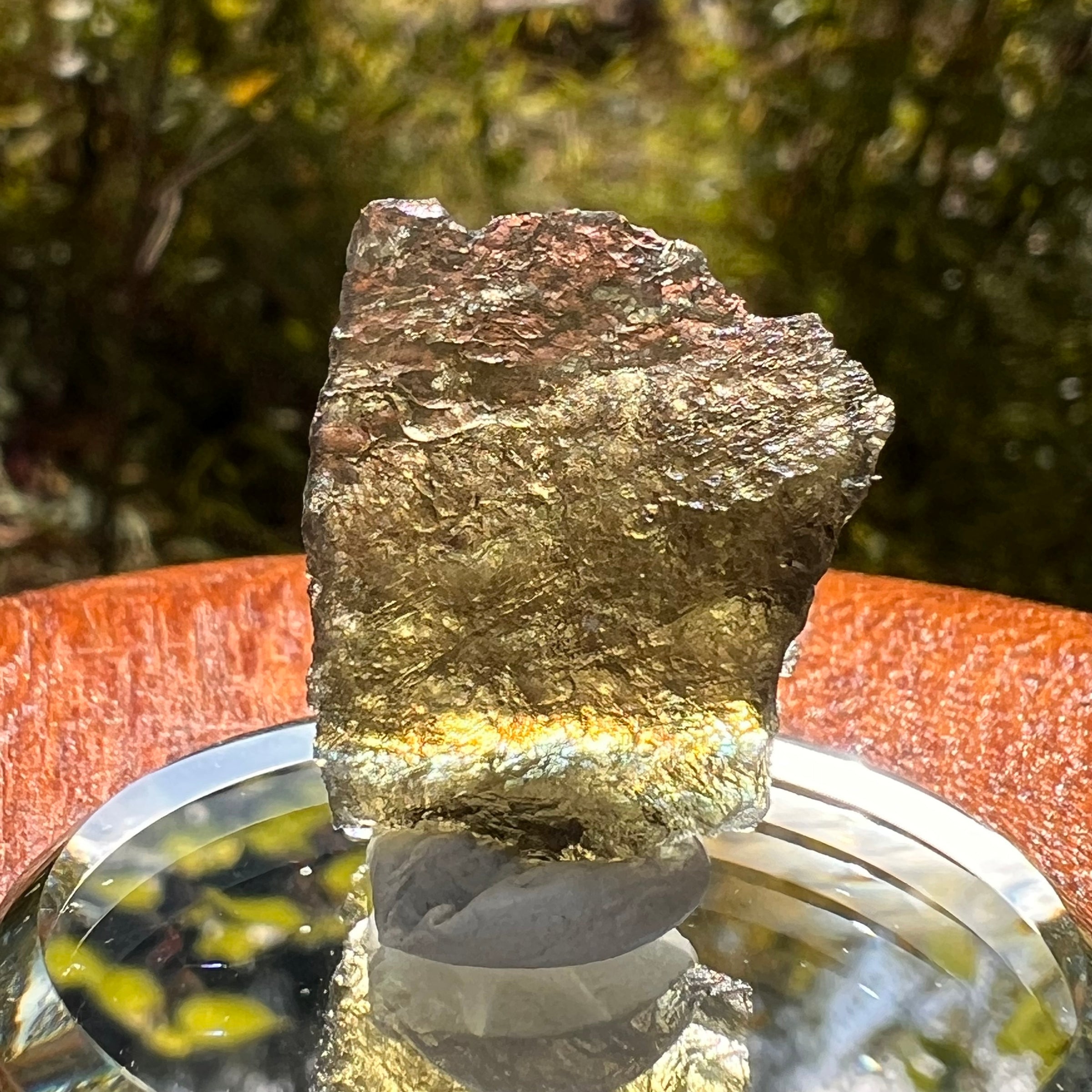 Moldavite 2.5 grams #2160-Moldavite Life