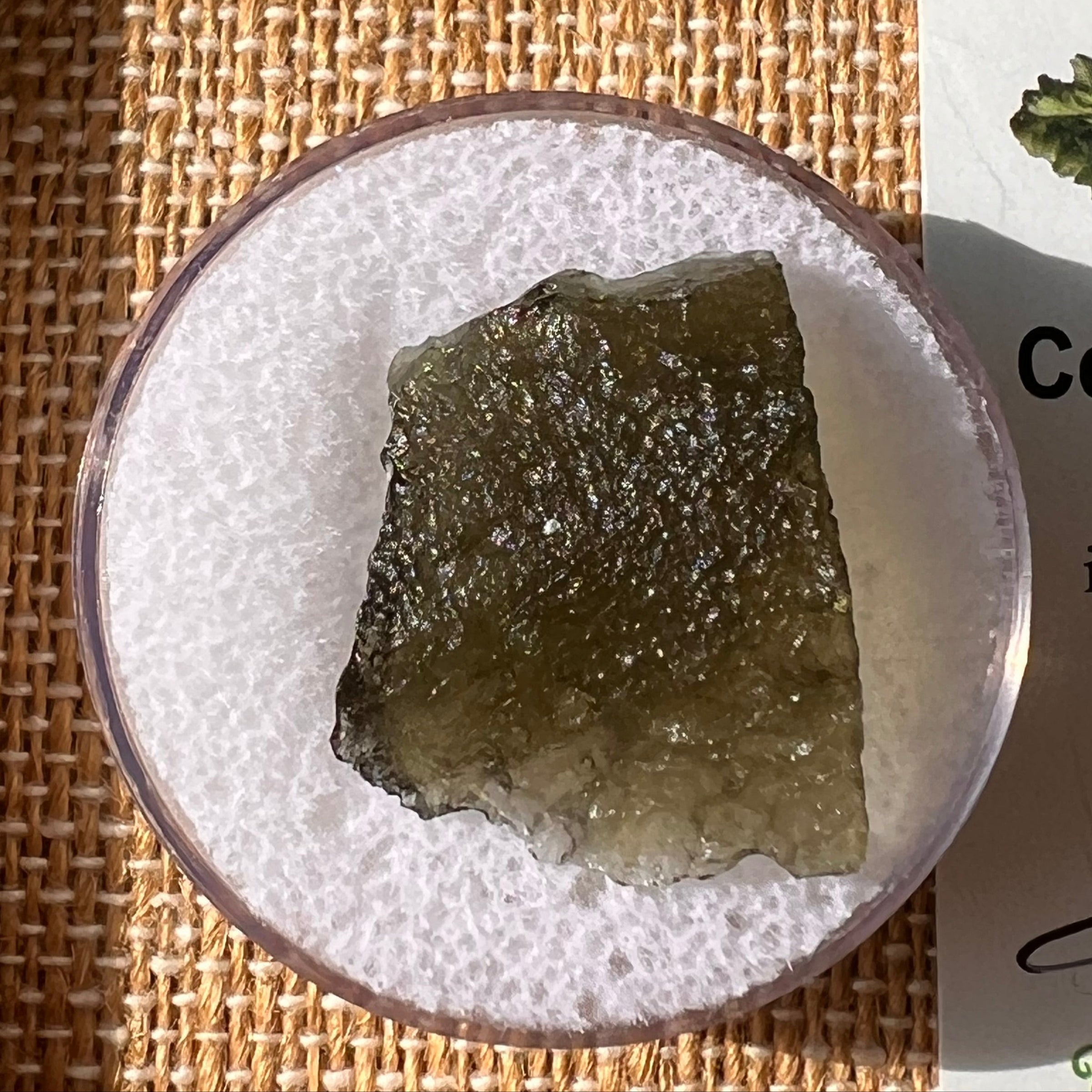 Moldavite 2.5 grams #2160-Moldavite Life