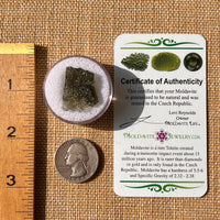 Moldavite 2.5 grams #2160-Moldavite Life