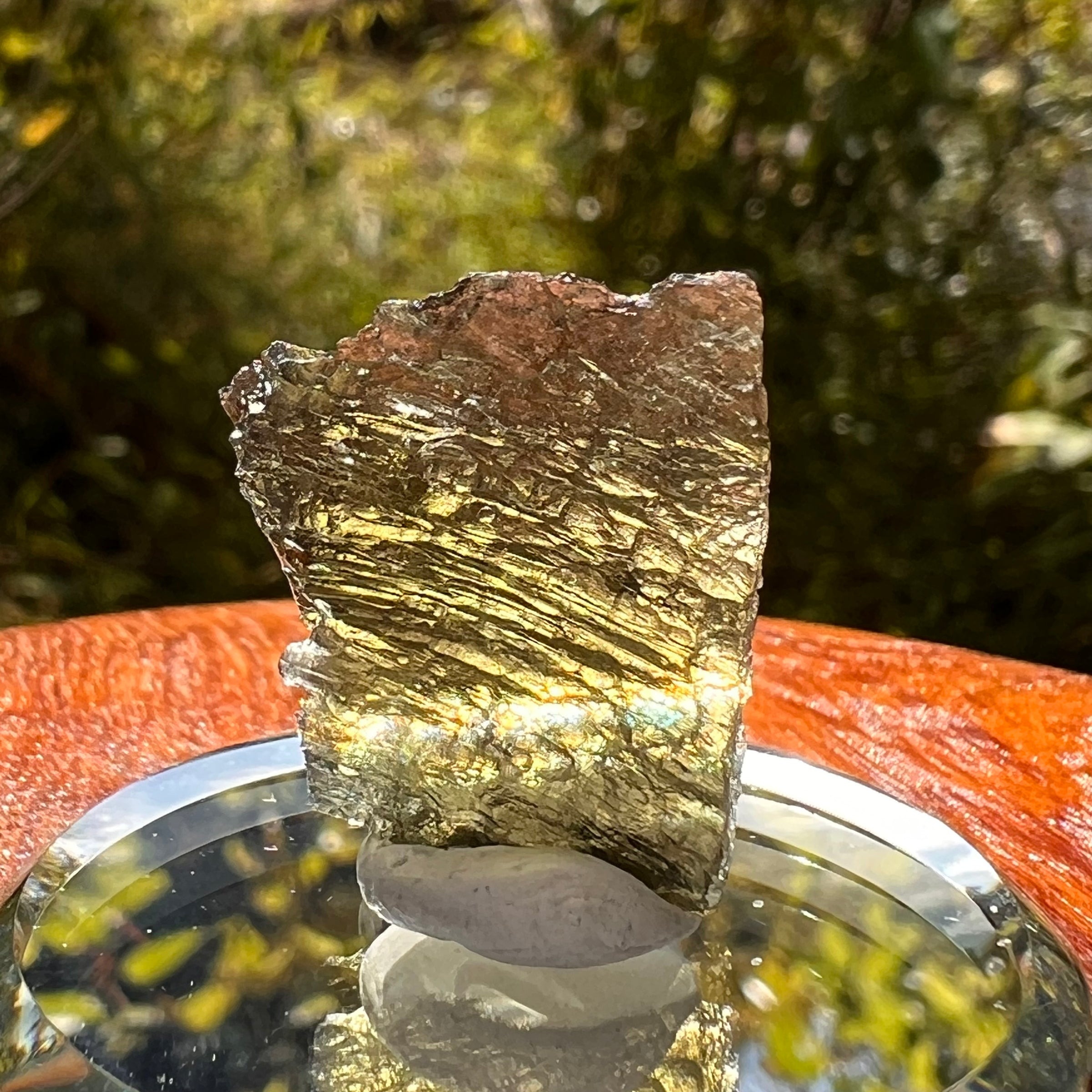 Moldavite 2.5 grams #2160-Moldavite Life