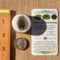 Moldavite 2.5 grams #2208-Moldavite Life