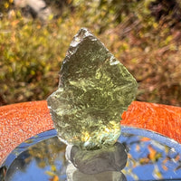 Moldavite 2.5 grams #2316-Moldavite Life