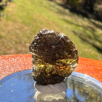 Moldavite 2.5 grams #2369-Moldavite Life