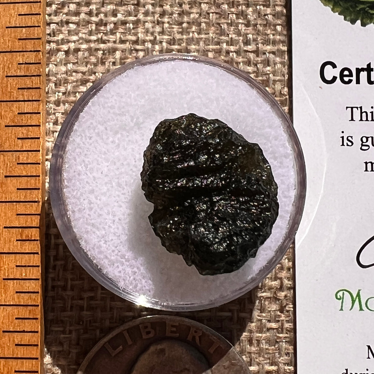 Moldavite 2.5 grams #2369-Moldavite Life