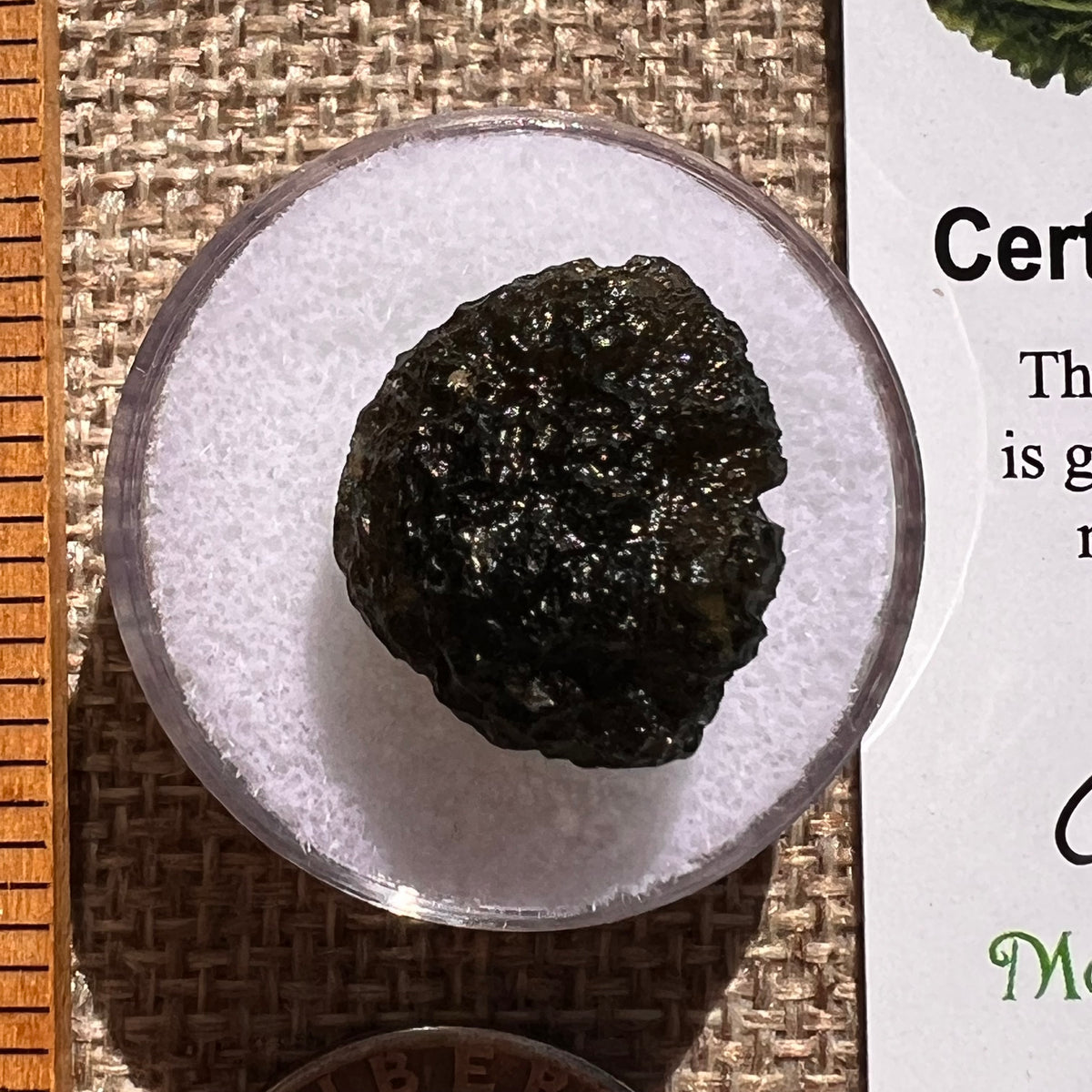 Moldavite 2.5 grams #2369-Moldavite Life
