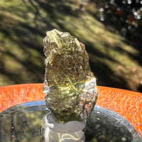 Moldavite 2.5 grams #2395-Moldavite Life