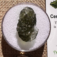 Moldavite 2.5 grams #2395-Moldavite Life