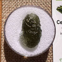 Moldavite 2.5 grams #2395-Moldavite Life