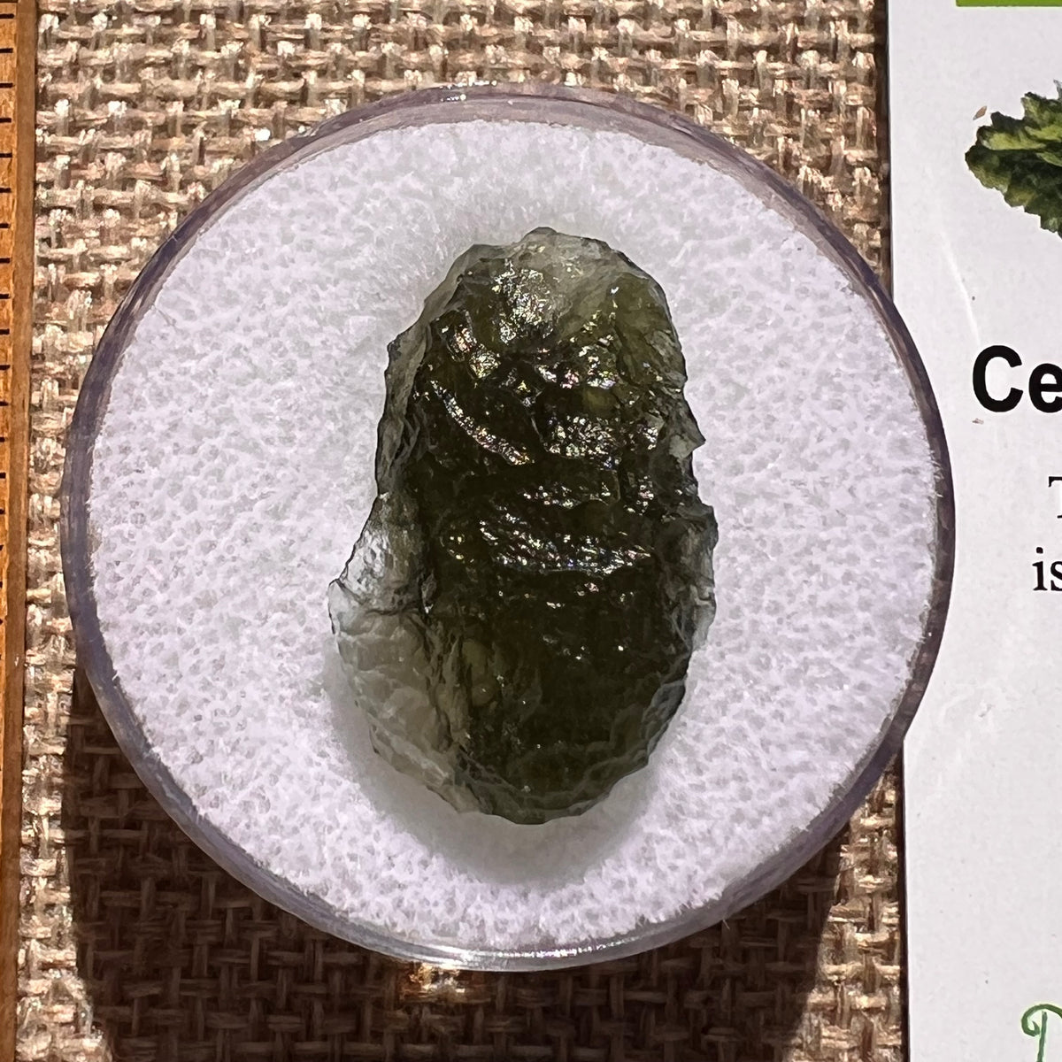 Moldavite 2.5 grams #2395-Moldavite Life
