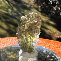 Moldavite 2.5 grams #2395-Moldavite Life