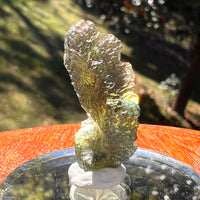 Moldavite 2.5 grams #2397-Moldavite Life