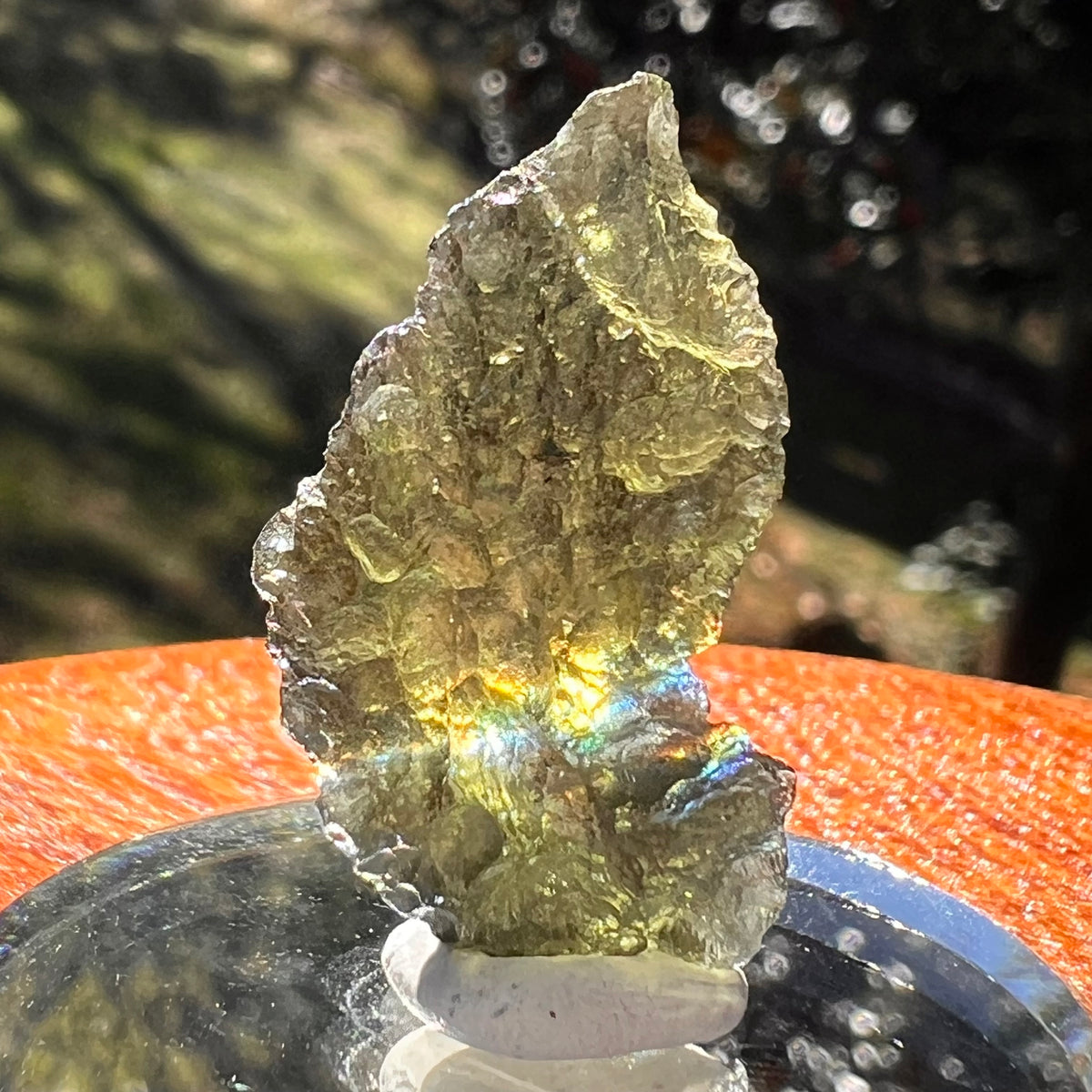 Moldavite 2.5 grams #2397-Moldavite Life
