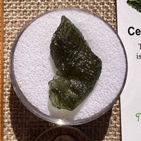 Moldavite 2.5 grams #2397-Moldavite Life