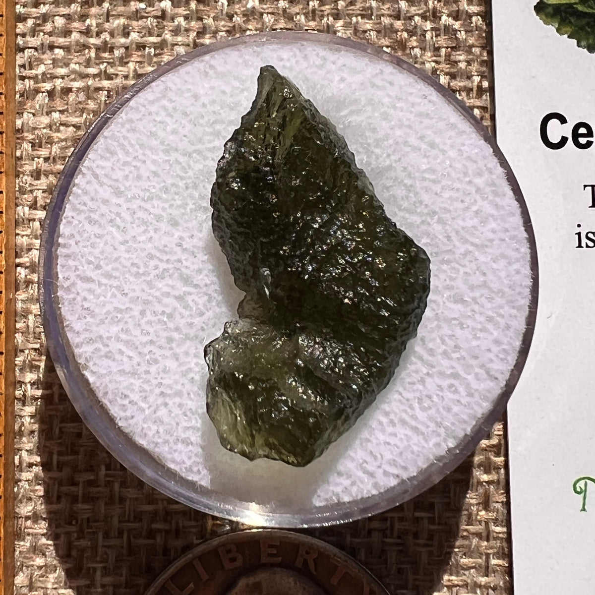 Moldavite 2.5 grams #2397-Moldavite Life
