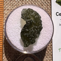 Moldavite 2.5 grams #2397-Moldavite Life