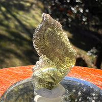 Moldavite 2.5 grams #2397-Moldavite Life