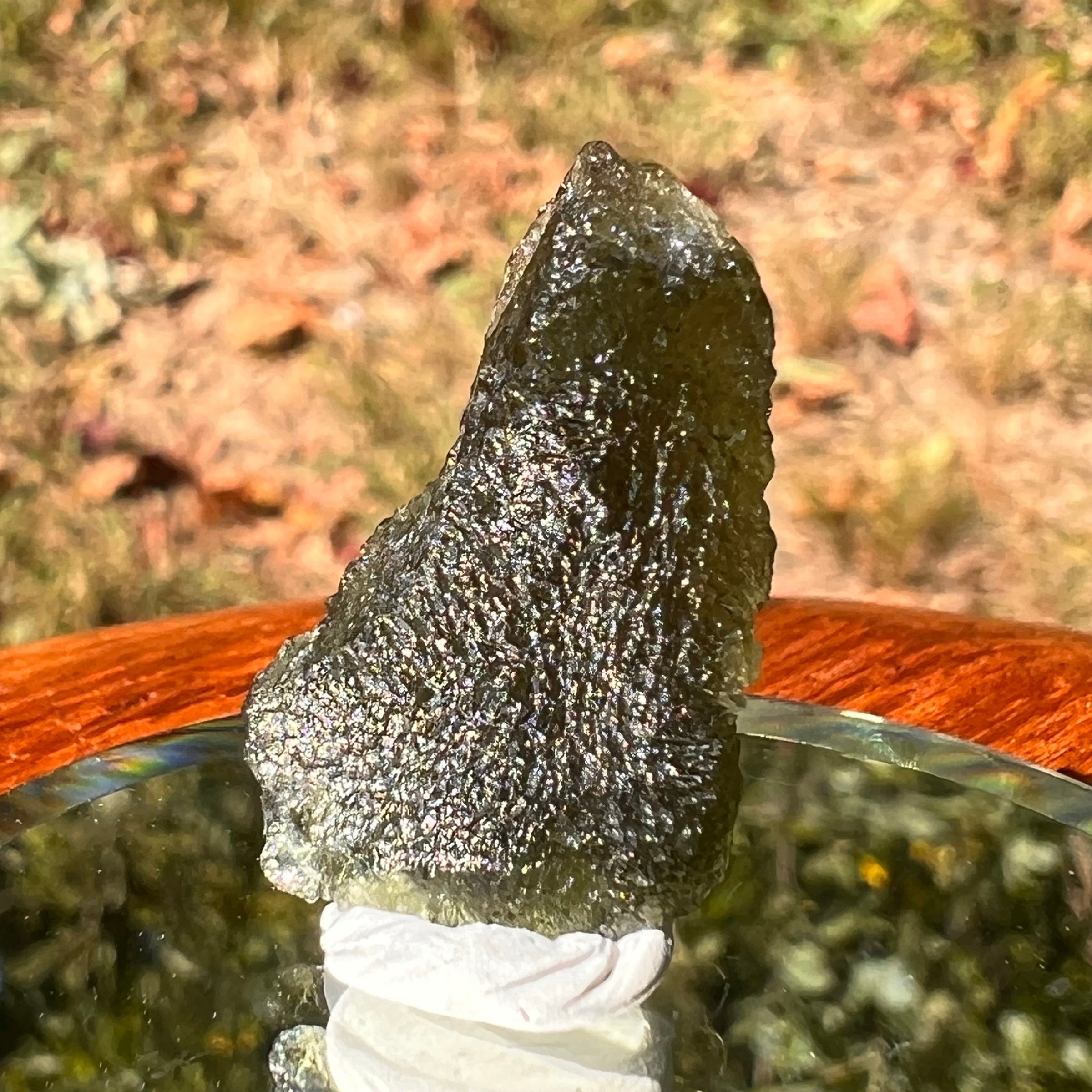 Moldavite 2.6 grams #1739-Moldavite Life