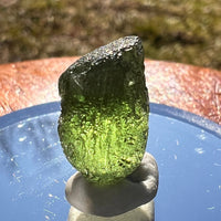 Moldavite 2.6 grams #1964-Moldavite Life