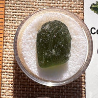 Moldavite 2.6 grams #1964-Moldavite Life