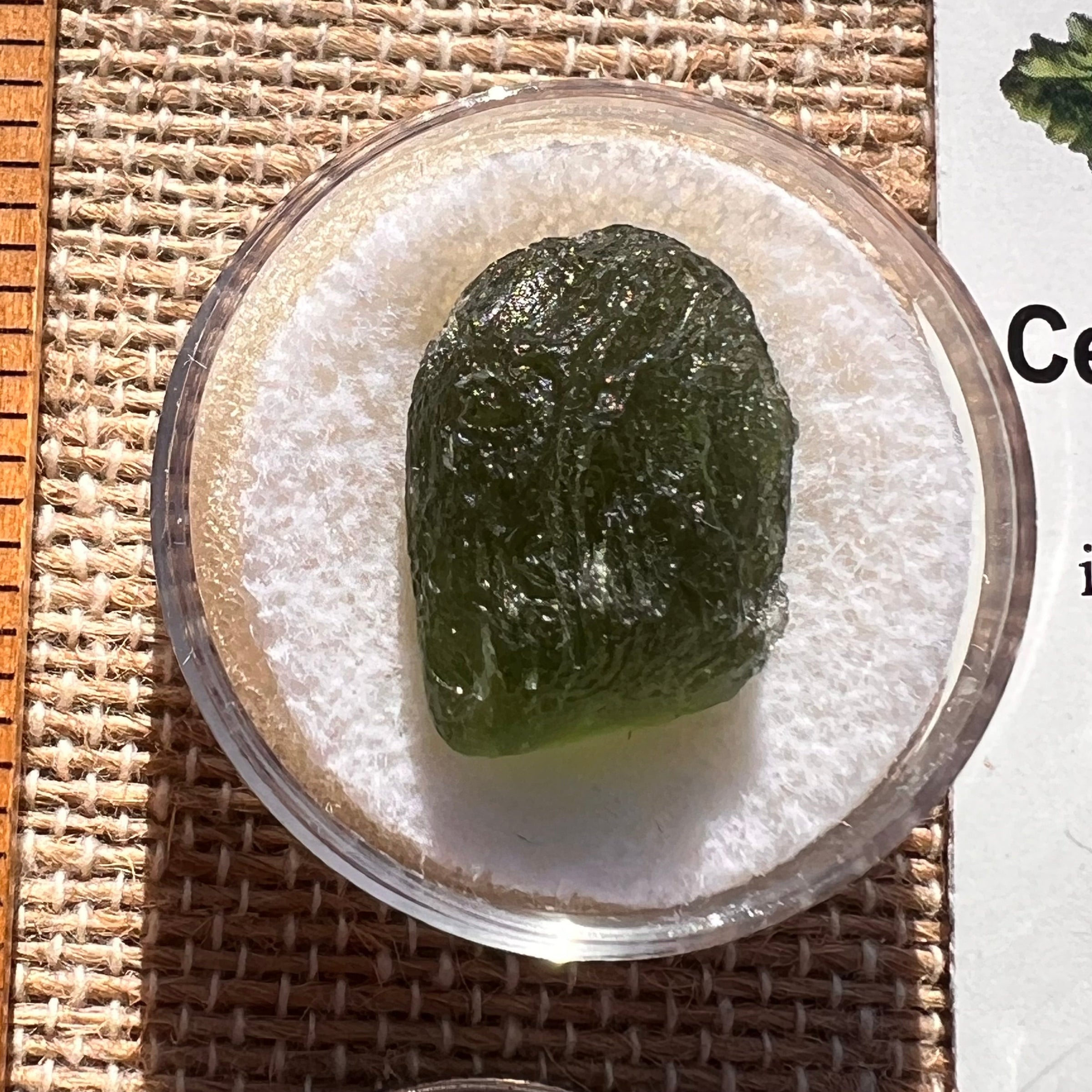 Moldavite 2.6 grams #1964-Moldavite Life