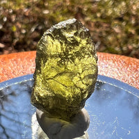 Moldavite 2.6 grams #1982-Moldavite Life