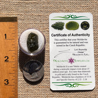 Moldavite 2.6 grams #1982-Moldavite Life