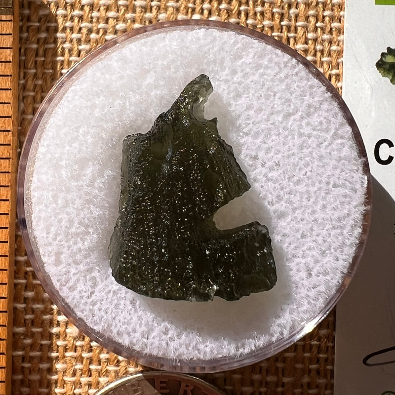 Moldavite 2.6 grams #2117-Moldavite Life